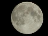 Mond by Mathäus Gschwandtner.jpg